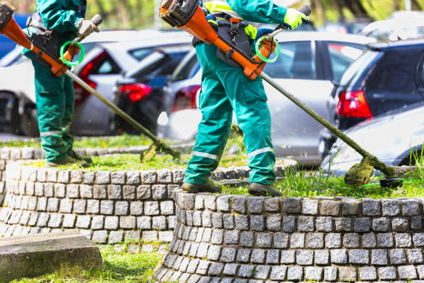 VVSC Landscaping Services